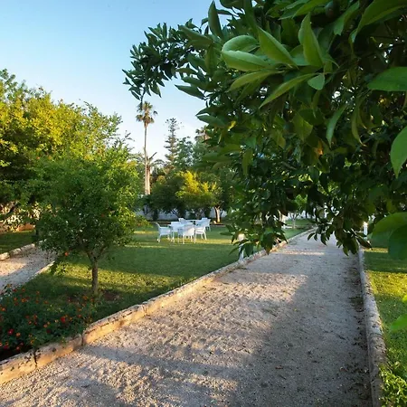 Starace -